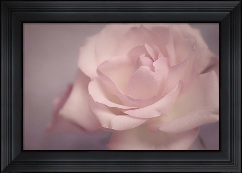 Framed Tenderness Print