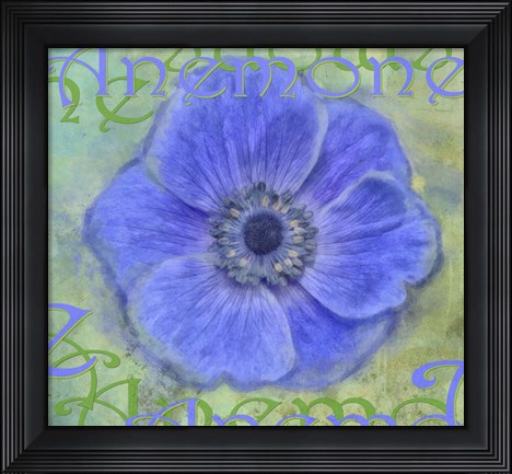 Framed Anemone Print