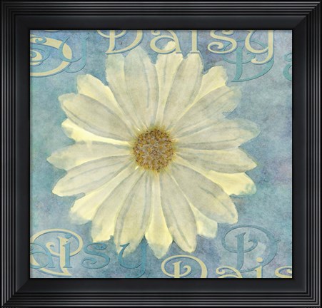 Framed Daisy Print