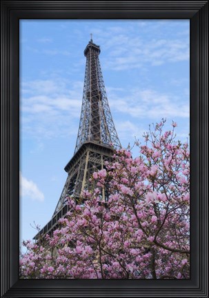 Framed Eiffel Tower with Pink Magnolia Tree Print