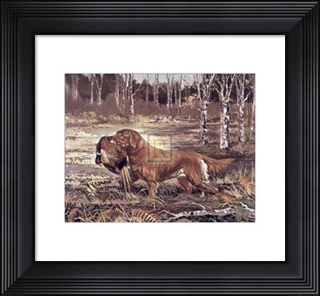 Framed Golden Retriever Print