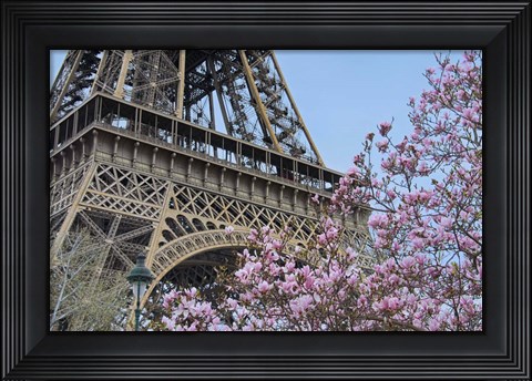 Framed Eiffel Tower with Pink Magnolia Print