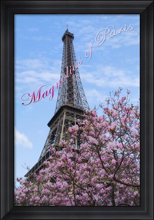Framed Magnolias of Paris Print