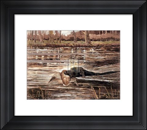 Framed Bramshaw Bob Swimming (Lge) Print
