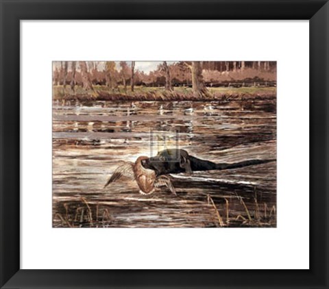 Framed Bramshaw Bob Swimming (Lge) Print