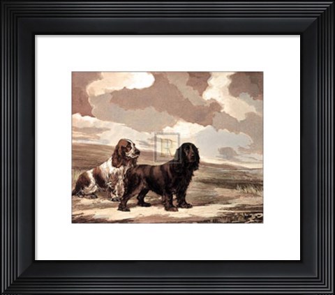 Framed Cockers Print