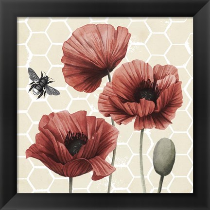 Framed Poppy Buzz I Print