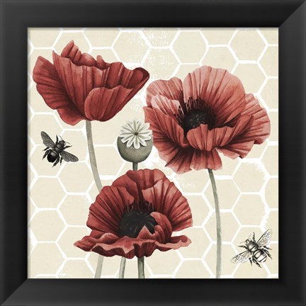 Framed Poppy Buzz II Print