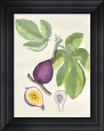 Framed Watercolor Fruit I Print