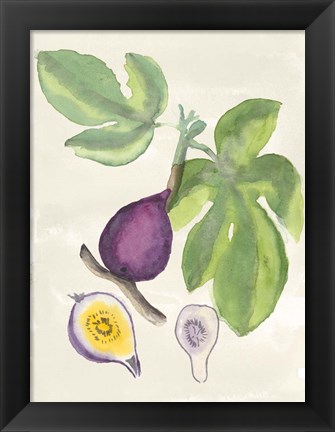 Framed Watercolor Fruit I Print