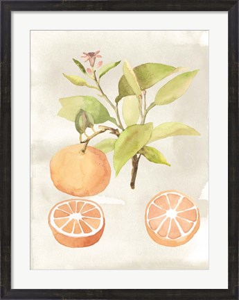 Framed Watercolor Fruit V Print