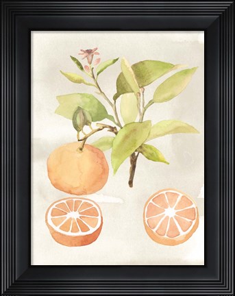 Framed Watercolor Fruit V Print