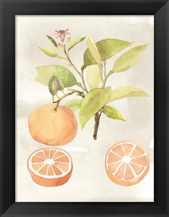 Framed Watercolor Fruit V Print