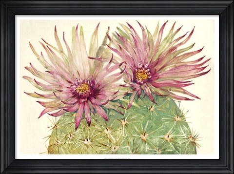 Framed Cactus Blossoms I Print