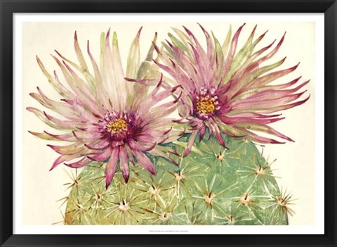 Framed Cactus Blossoms I Print