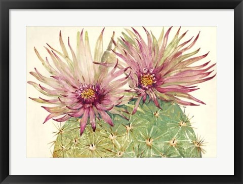 Framed Cactus Blossoms I Print