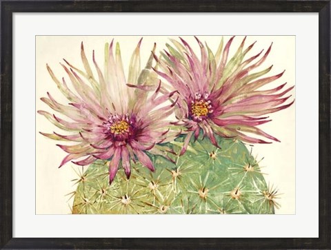 Framed Cactus Blossoms I Print