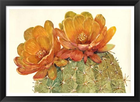 Framed Cactus Blossoms II Print