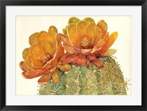 Framed Cactus Blossoms II Print