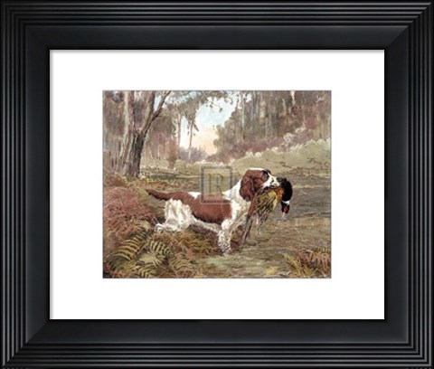 Framed Springer and Pheasant Print