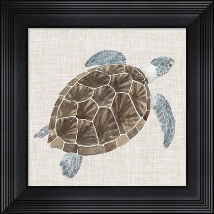 Framed Sea Turtle I Print
