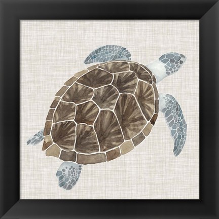 Framed Sea Turtle I Print