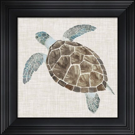 Framed Sea Turtle II Print