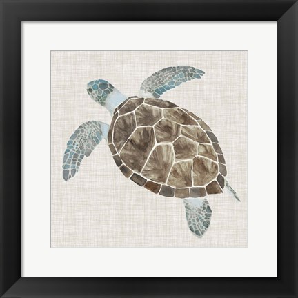 Framed Sea Turtle II Print