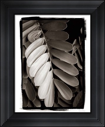 Framed Tropical Plant I Print