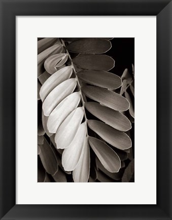 Framed Tropical Plant I Print