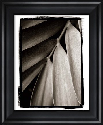 Framed Tropical Plant II Print