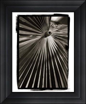 Framed Palm Frond I Print