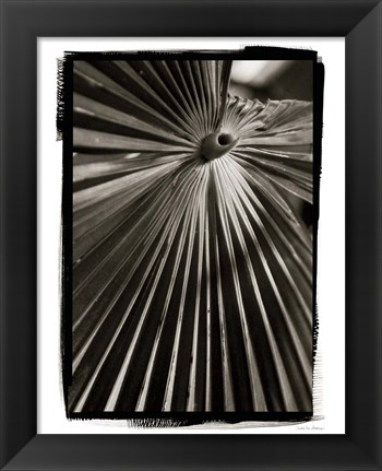 Framed Palm Frond I Print