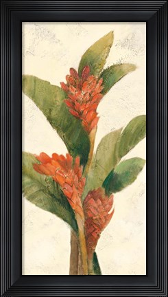 Framed Ginger Blossom on White Print