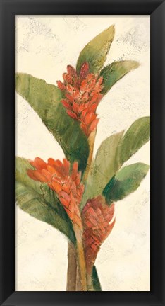 Framed Ginger Blossom on White Print