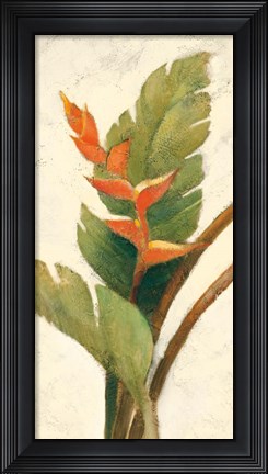 Framed Halconia Blossom on White Print