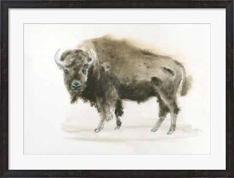 Framed Buffalo Bill Print