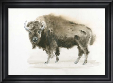 Framed Buffalo Bill Print