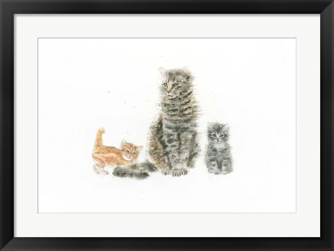 Framed Cat and Kittens Print