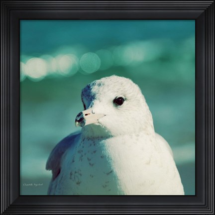 Framed Mint Cottage Days IV Print