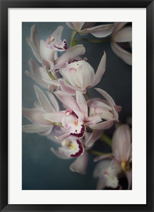 Framed Dark Orchid I Print