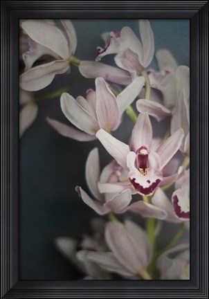 Framed Dark Orchid II Print