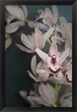 Framed Dark Orchid II Print