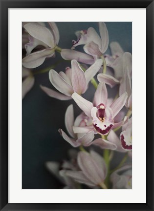 Framed Dark Orchid II Print