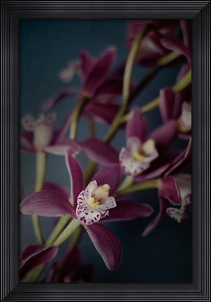 Framed Dark Orchid III Print