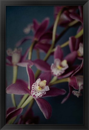 Framed Dark Orchid III Print