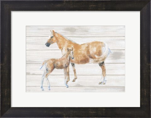 Framed Horse and Colt on Wood Print