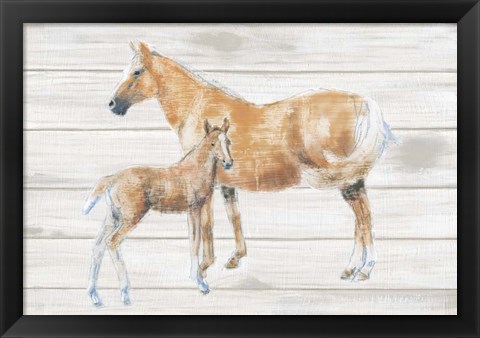 Framed Horse and Colt on Wood Print