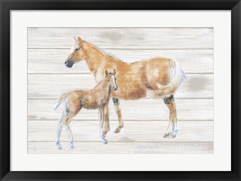 Framed Horse and Colt on Wood Print