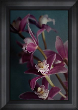 Framed Dark Orchid IV Print